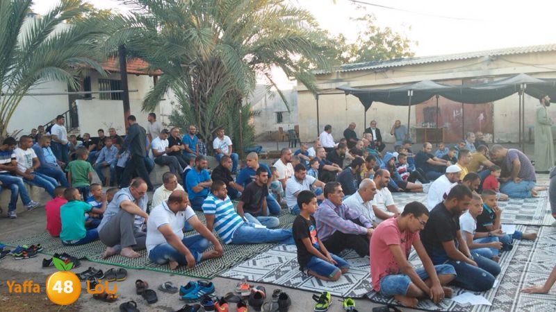 dahmash e33ed (1).JPG